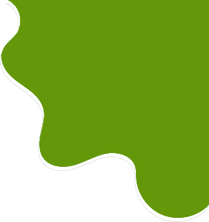 services-details-book-shape-11